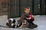 ENFANT ET CHIEN 318